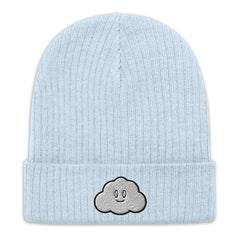 Clouded Vision Ribbed knit beanie