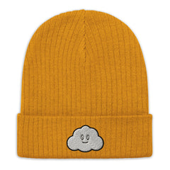 Clouded Vision Ribbed knit beanie