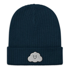 Clouded Vision Ribbed knit beanie